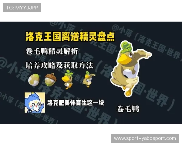 解决yb体育平台注册遇到的常见问题与错误提示的实用攻略