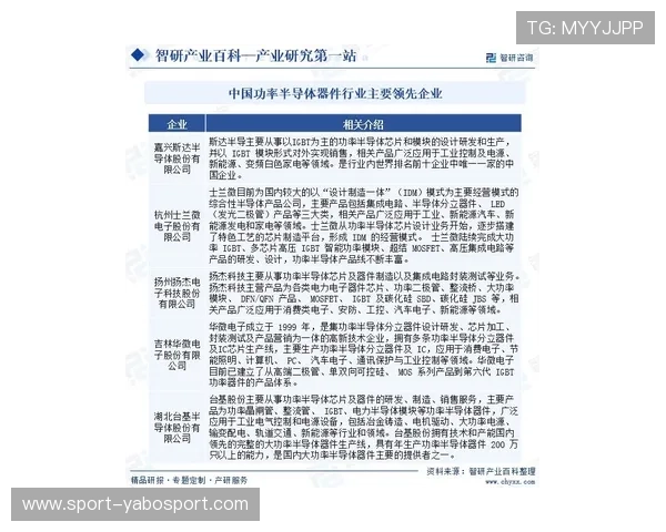 亚博YaBo真人版未来发展趋势分析引领玩家提前掌握行业最新动态与玩法创新