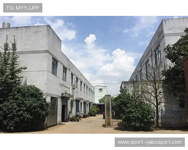 亚搏信誉建设的未来发展方向,持续优化用户体验与服务质量 亚搏信誉建设的未来发展方向,持续优化用户体验与服务质量